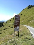 A08.jpg
